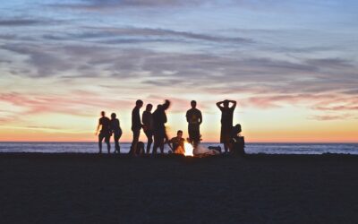 Newsletters for surf brands (in the age of short attention spans)