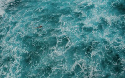 Tips for crafting a captivating newsletter for your surf brand