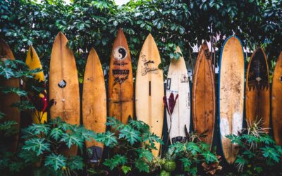 Can blog articles improve your surf brand’s Google ranking?