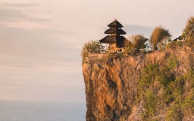 What AI can’t do for your surf biz