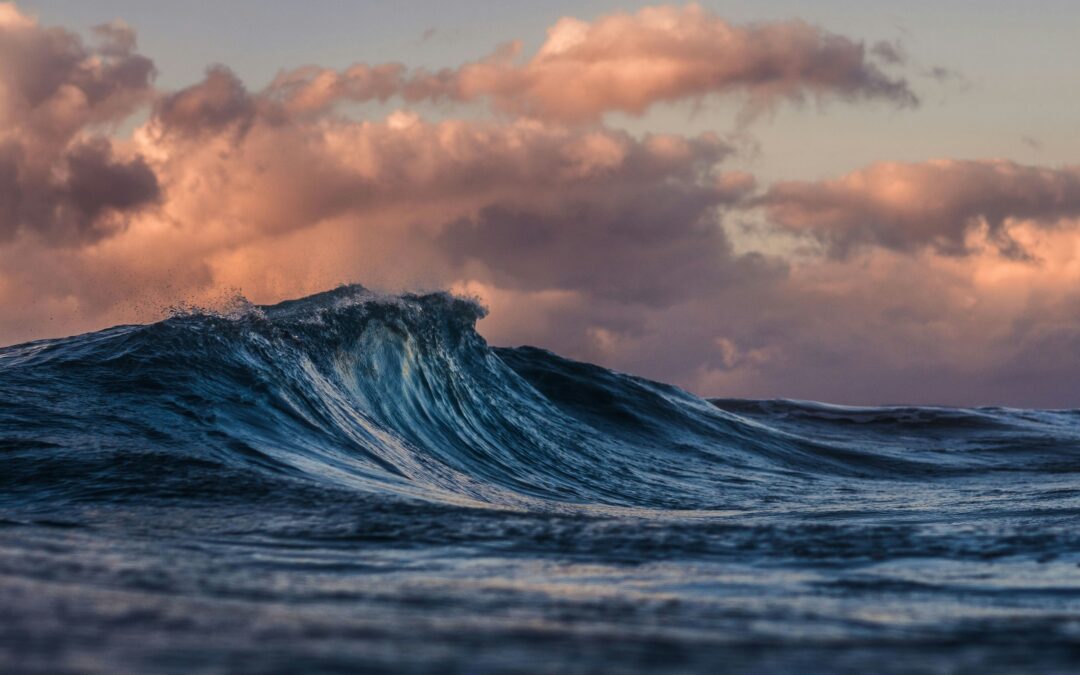 A rolling ocean wave rises in the foreground beneath a sky filled with pink and peach-colored clouds at sunset