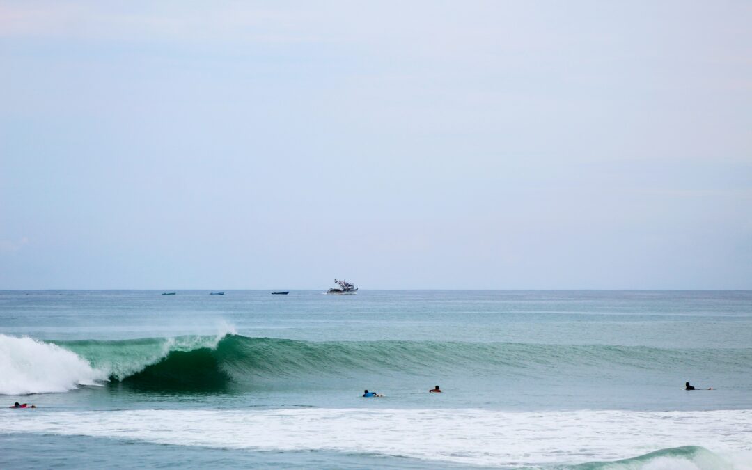 Image of surfers sitting in the water and looking at a wave