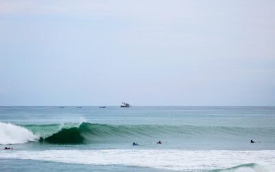 Surf marketing in 2026: What 2,300 surfers just told us